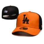 MLB-LAD48